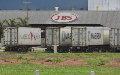 MS vai exportar US$ 1 bilhão em carne bovina neste ano