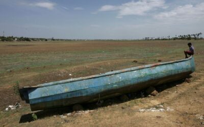 Clima já mudou, e adaptação é urgente, afirmam especialistas