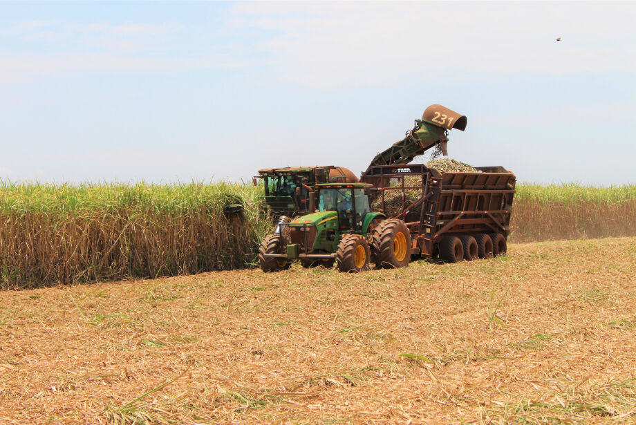 Produção agrícola deve superar a marca de 70 milhões de toneladas em 2023