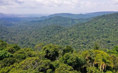 Ministro norueguês diz que Brasil voltou a ser liderança ambiental