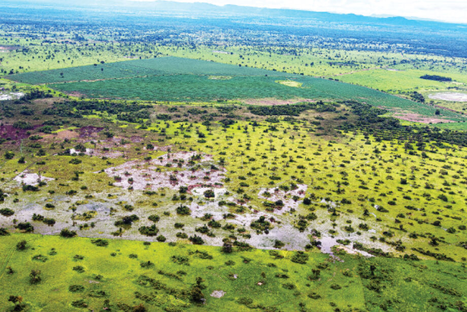 Projeto tenta incentivar mercado de R$ 4 bilhões na região do Pantanal