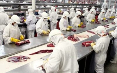 México abre mercado para a carne bovina brasileira