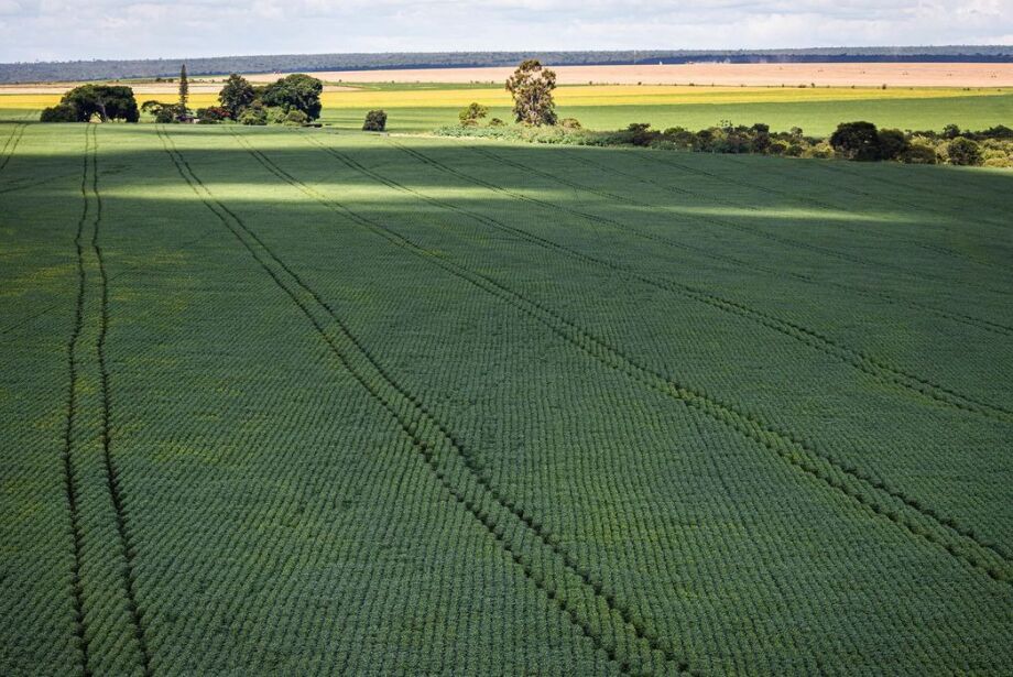 Mudanças climáticas afetam produção de soja e cria desafios no seguro rural