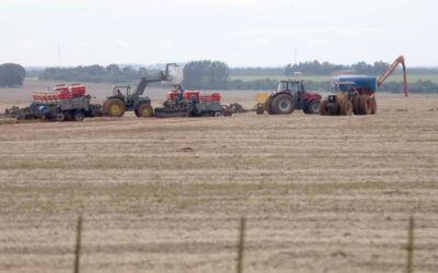 Mato Grosso do Sul colhe supersafra de soja, mesmo com intempéries climáticas