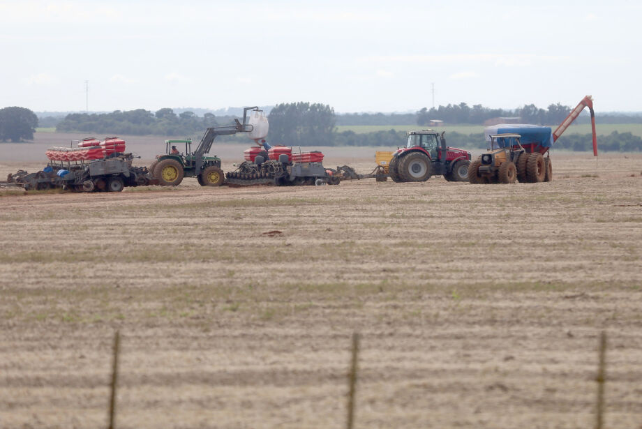 Mato Grosso do Sul colhe supersafra de soja, mesmo com intempéries climáticas