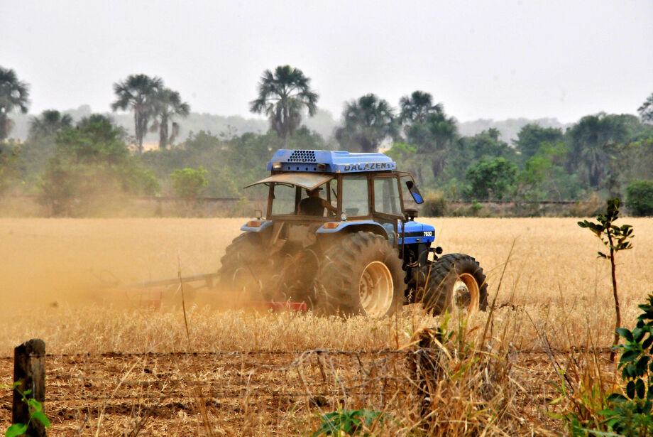 Fertilizantes elevam custo de produção