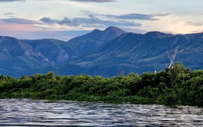 Serra do Amolar tem primeira área do Pantanal a receber certificado de crédito de carbono