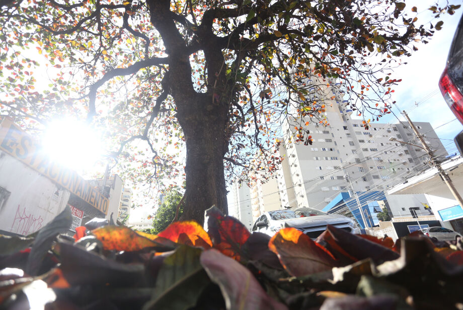 Temperatura pode chegar a 32º e umidade a 20% em MS nesta semana