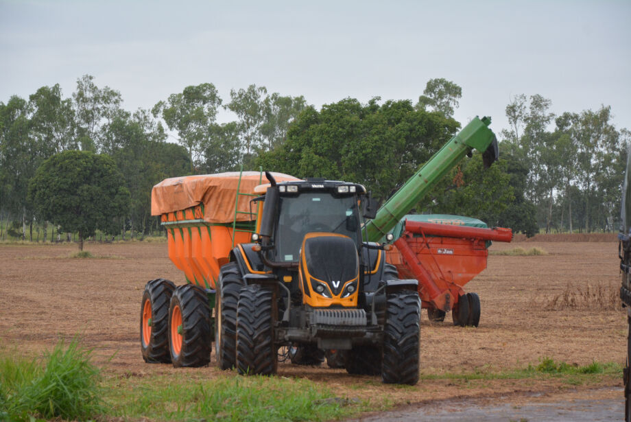 Agropecuária em crescimento puxa alta do PIB estadual e do País