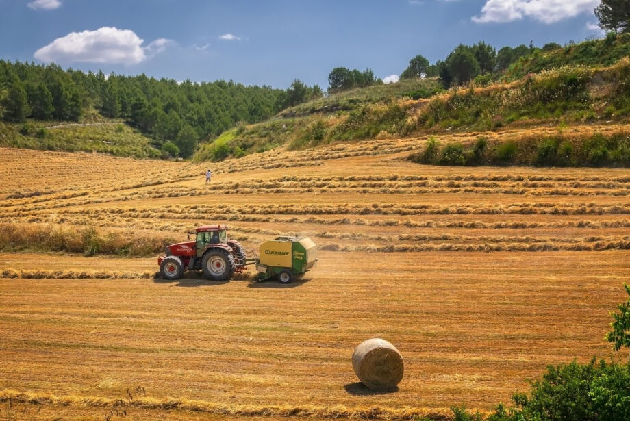 Riedel quer garantia de crédito com juros compatíveis para produtores no Plano Safra