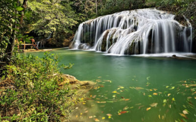 Destino de ecoturismo em Bonito recebe certificação inédita de carbono neutro