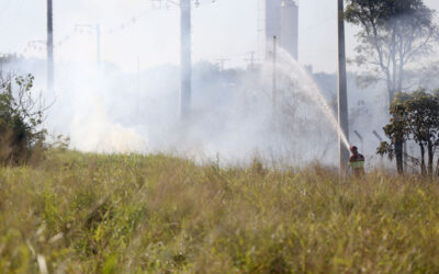 Com 15 cidades em alerta, agosto pode ter recorde de queimadas