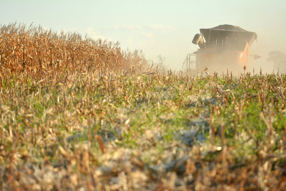 Produção de grãos de Mato Grosso do Sul deve alcançar 27,1 milhões de toneladas