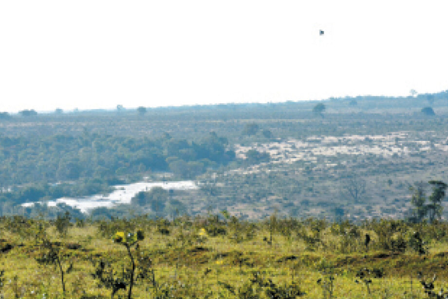 Governo federal quer recuperar até 1,8 milhão de hectares de áreas degradadas no Estado