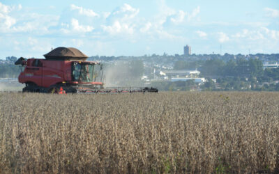 Campo Grande é a capital com a maior produção agrícola do Brasil