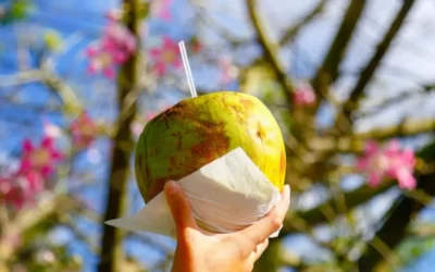 Calor extremo de até 45ºC castiga e pode até matar; saiba como se proteger nesta semana