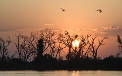 Nesta segunda-feira a temperatura pode atingir até 43°C em algumas regiões do estado