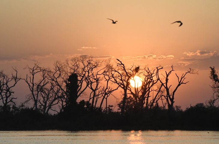 Nesta segunda-feira a temperatura pode atingir até 43°C em algumas regiões do estado