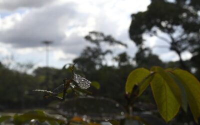 Previsão é de chuvas e aumento das temperaturas nesta sexta-feira em MS