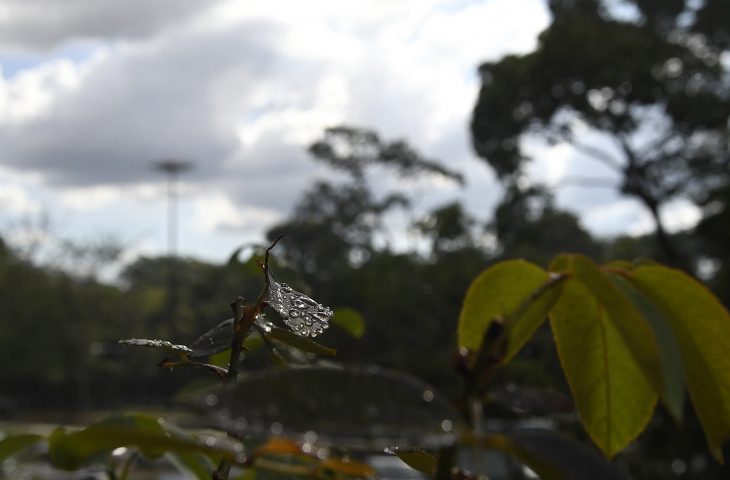 Previsão é de chuvas e aumento das temperaturas nesta sexta-feira em MS