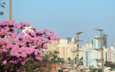 Previsão de sol e altas temperaturas para esta terça-feira em MS