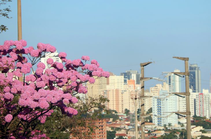 Previsão de sol e altas temperaturas para esta terça-feira em MS