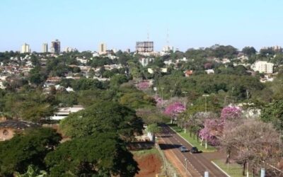 Capital de MS é reconhecida como melhor gestora de floresta urbana