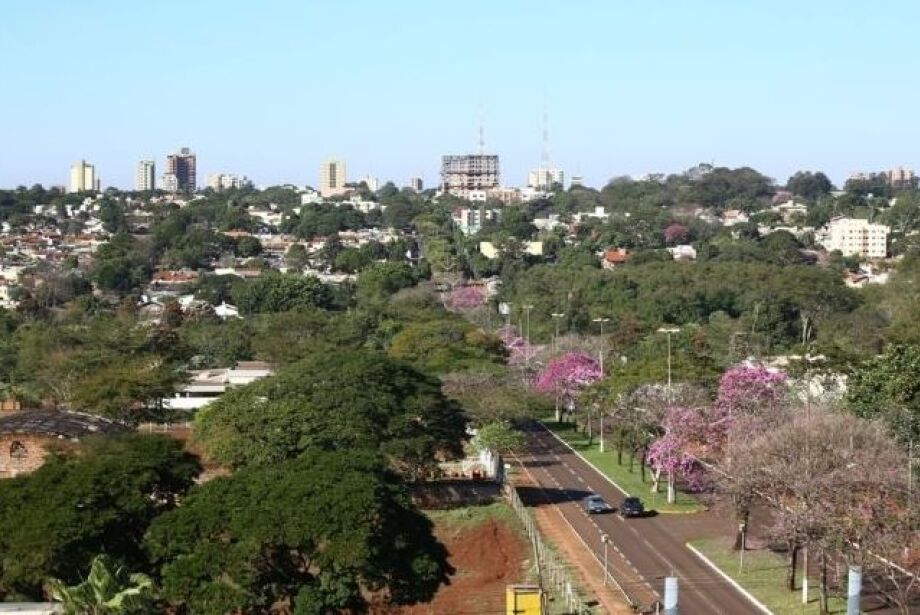 Capital de MS é reconhecida como melhor gestora de floresta urbana