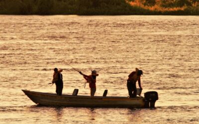 Defeso da Piracema começa dia 5 de novembro em MS e último fim de semana de pesca exige cuidados