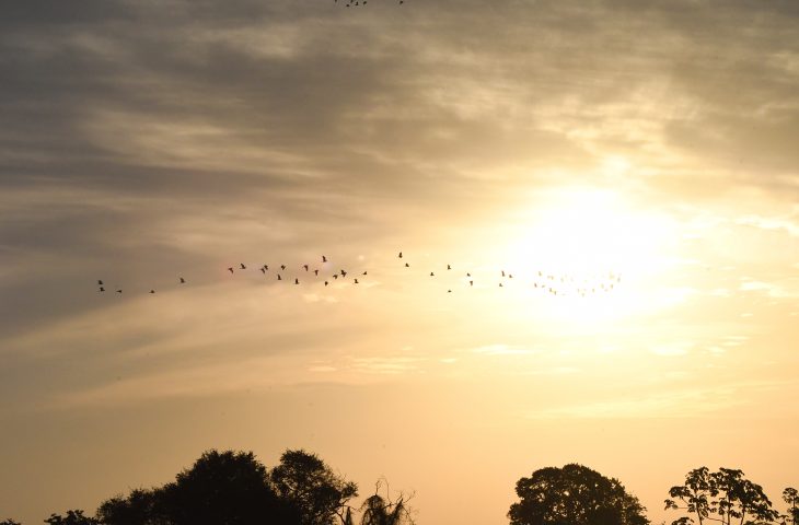 Previsão para esta quarta-feira é de sol e temperaturas podem atingir 40°C em MS