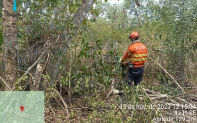 Com atuação permanente, Bombeiros de MS fazem força-tarefa para controlar incêndios no Pantanal