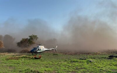 Com atuação intensa e após chuva, Bombeiros de MS controlam focos de incêndios no Pantanal