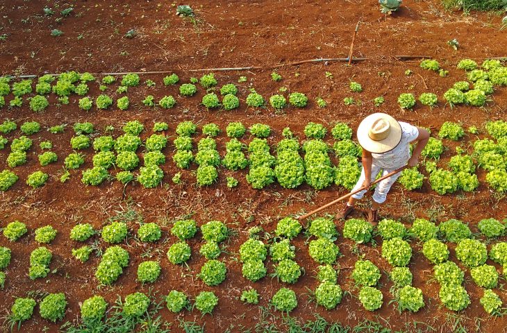 Com projeto na agricultura familiar, MS dá mais um passo para se tornar carbono neutro até 2030