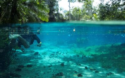 Bonito é o 5º destino tendência do Brasil e o melhor destino sustentável para viajantes LGBTQIAP+