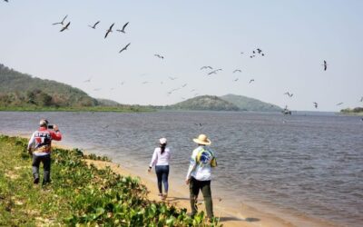 Redução de imposto e ambiente positivo incentivam novos empreendedores no coração da Rota Bioceânica