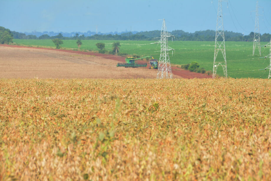 Colheita de soja acelera e chega a 30,1%