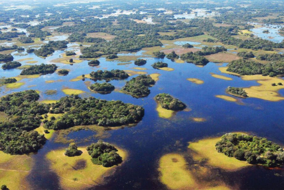 Lei do Pantanal entra em vigor com fiscalização via satélite