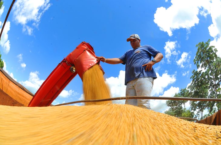 Exportações de MS crescem 17,4% em janeiro com destaque para celulose, soja e minério de ferro