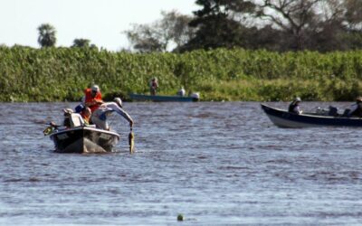 A partir desta quinta, modalidade ‘pesque e solte’ está liberada nos rios Paraguai e Paraná