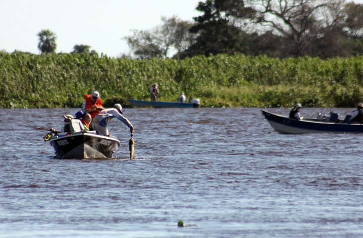 A partir desta quinta, modalidade ‘pesque e solte’ está liberada nos rios Paraguai e Paraná