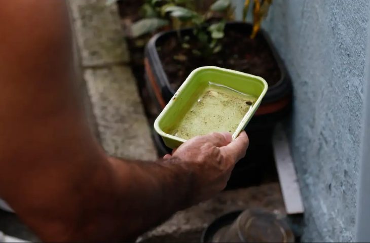 Dicas simples podem livrar sua casa dos focos da dengue e se prevenir contra doença