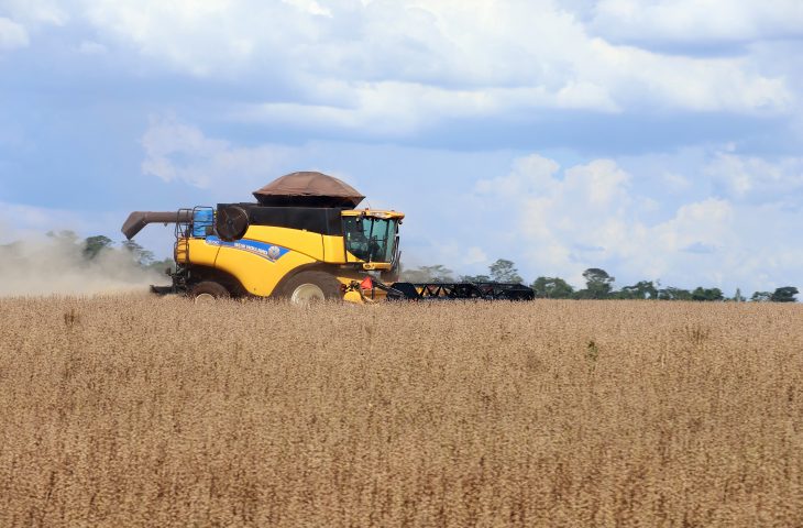 MS teve o maior crescimento do PIB do agronegócio entre os estados brasileiros