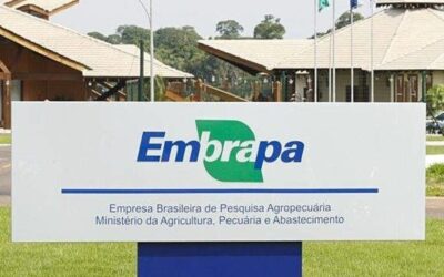 Inscrições para concurso da Embrapa abrem nesta segunda; salário é de até R$ 12,8 mil